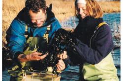 LOL赛事-梅斯一系列挫败，遭受低空剃头的简单介绍