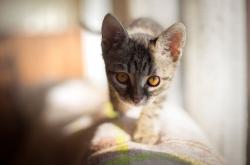 -冷风横扫欧洲红魔，2026世界杯G组，芬兰奇迹与孙兴慜的东方闪电