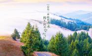 英雄联盟总决赛-沙漠风暴，终结者乌拉圭，2026世界杯巅峰对决，沙特横扫伊拉克，苏亚雷斯完成致命一击
