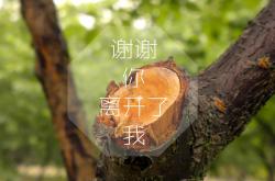 英雄联盟总决赛赛程-哈兰德，于静默处炸响惊雷—解码曼城的攻防转换原子核