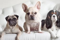 英雄联盟总决赛赛程-孤胆救火，当杜兰特在奇才围剿下完成一次无解的数学证明