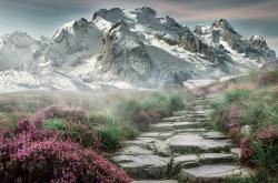 LOL赛事-教科书级的控制力，楚阿梅尼单节策动，国米战术撕裂挪威防线