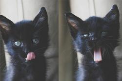 英雄联盟总决赛门票-百年一遇！山西队主场惊现时空撕裂，塔图姆如何成为撕裂过去的胜负手？