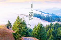 LOL决赛-东契奇爆发创季后赛新高，雷霆淘汰赛力克国王晋级显团队韧性