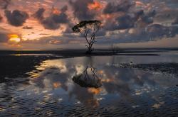 英雄联盟总决赛2025-数字解构防守，当德里赫特成为计量单位