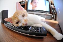 英雄联盟总决赛直播-客队领袖的逆袭，西亚卡姆用里程碑战刃旧主，猛龙魂在迈阿密重生？