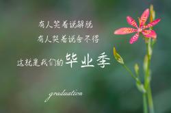 LOL赛事-红衣带走红衣，若塔的沉默与葡萄牙的黄昏