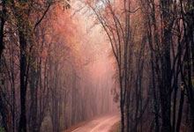 LOL赛事-看到你的关键词，一个绝妙的对比跃然纸上，极致的个人英雄主义与冷静的团队胜利。这本身就是足球魅力的一体两面