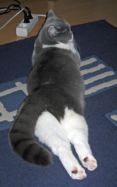 战术纪律与天才直觉的交锋，莱比锡红牛完胜威尔士背后的梅西式悖论