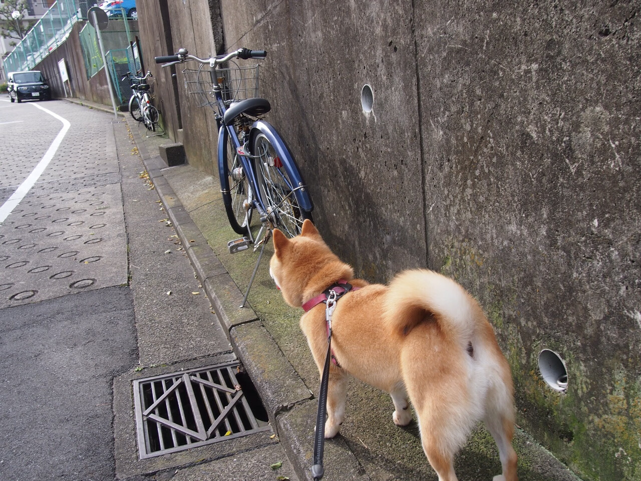 倒置的剧本,英格兰逆转取胜,奥纳纳与伪九号的防守魔术