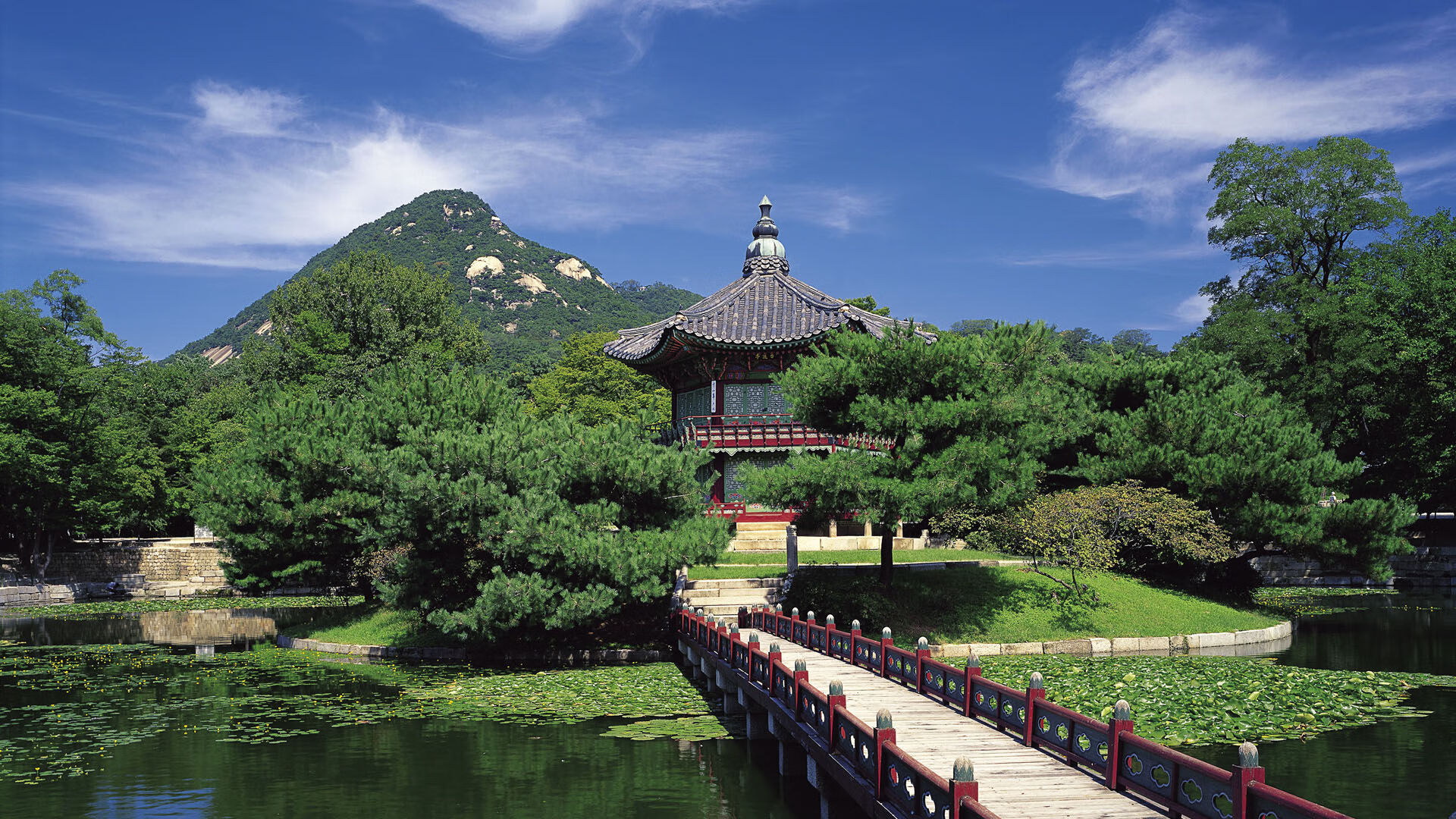 丛林法则，灰熊的集体绞杀与杜兰特的孤峰统治