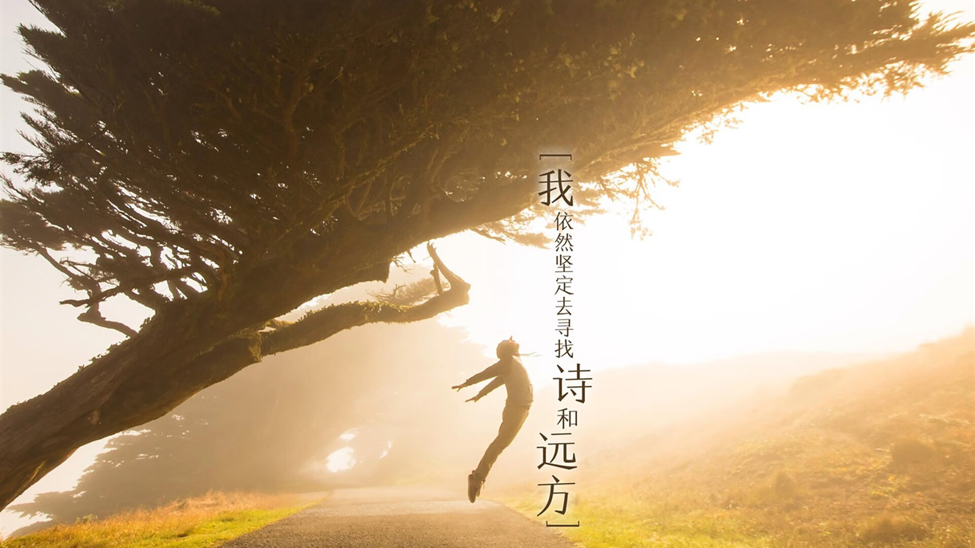 杰伦格林—暗夜独奏，一部给所有年轻人看的孤勇者教科书