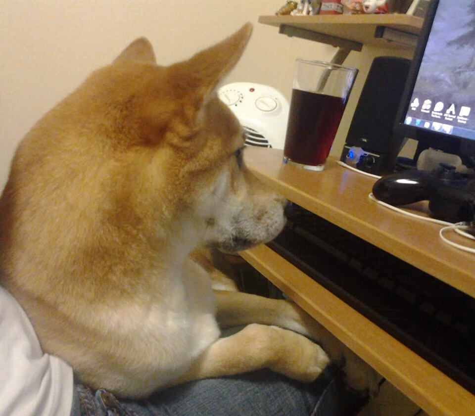 我为你构思了三个不同风格的标题,每个都指向同一核心,但气质迥异