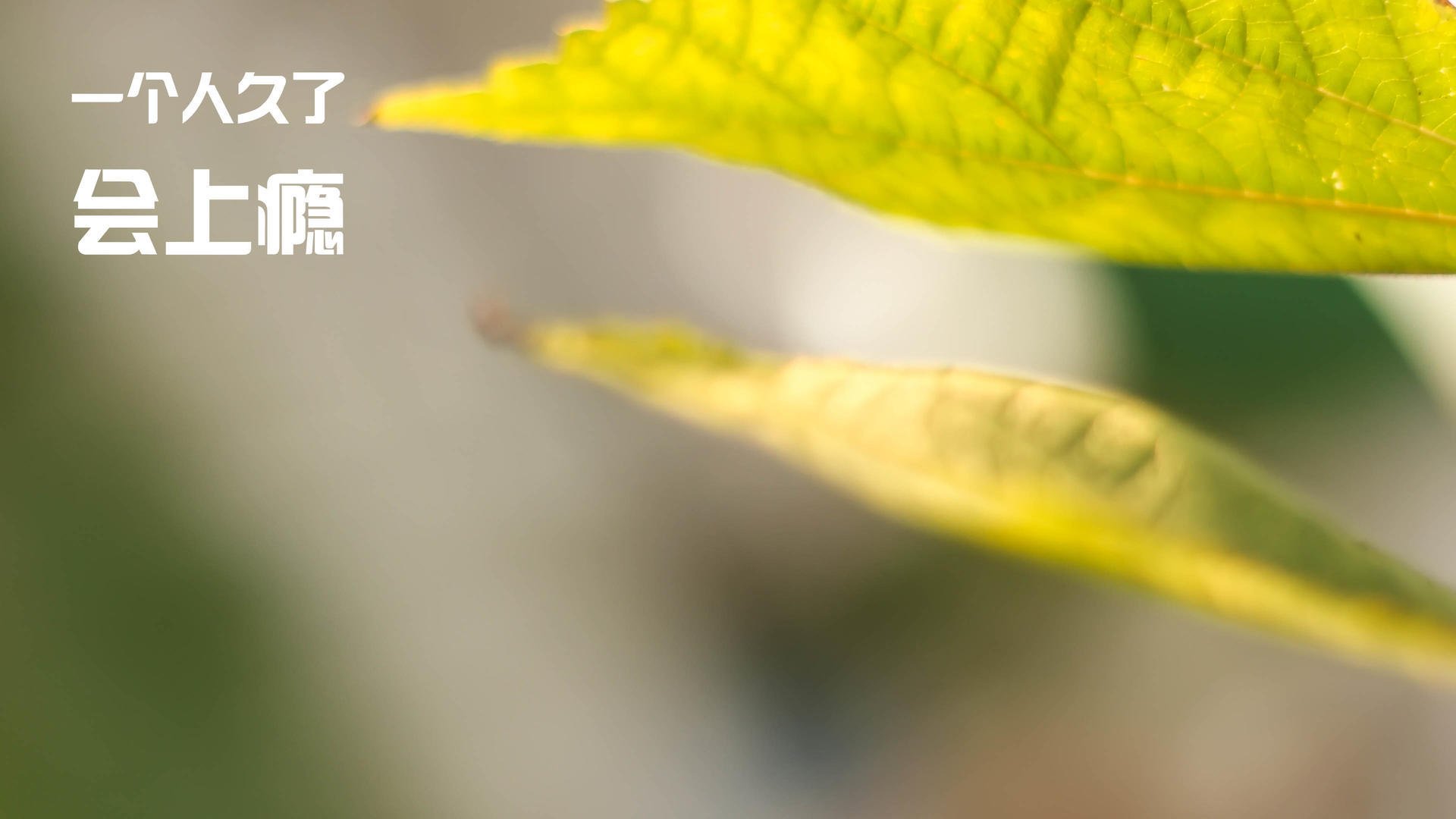 三分钟统治术,当拉文按下终结键