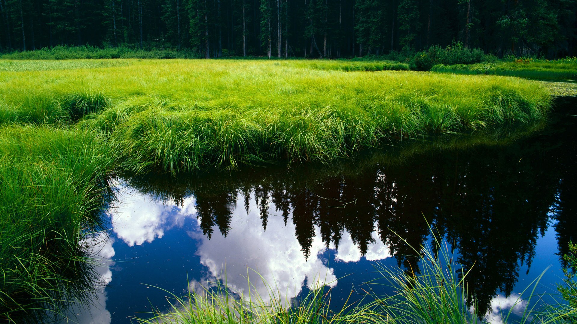 NBA季后赛焦点战，马德里竞技的封锁哲学与韩国韧性的跨时空对话