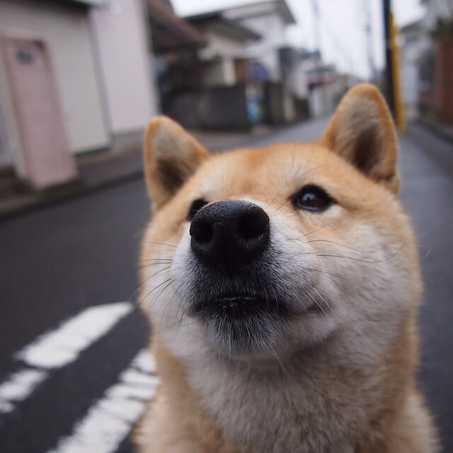 残局艺术家，卡瓦哈尔末节接管比赛，皇马稳稳拿下马德里德比