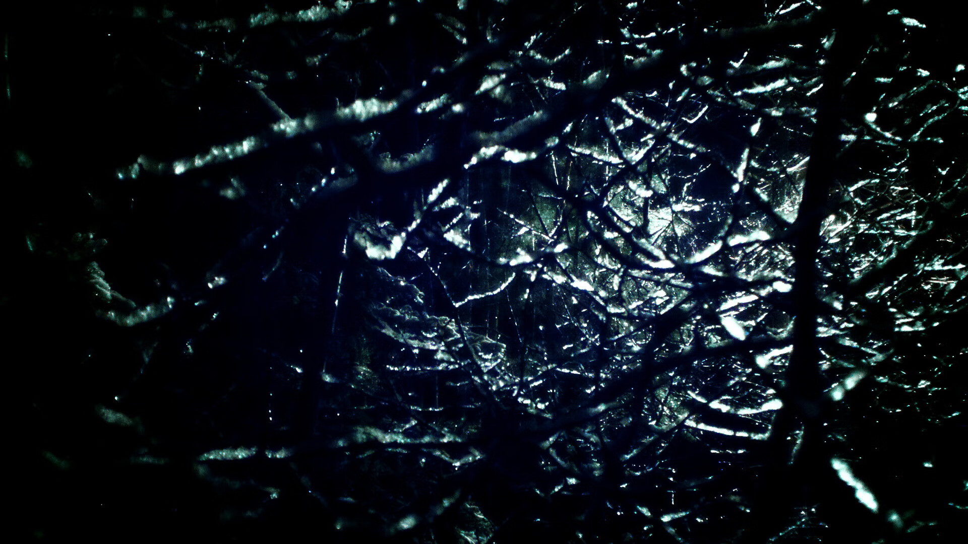 单节风暴！佛罗伦萨用窒息式防守击溃尼日利亚，加克波化身关键先生