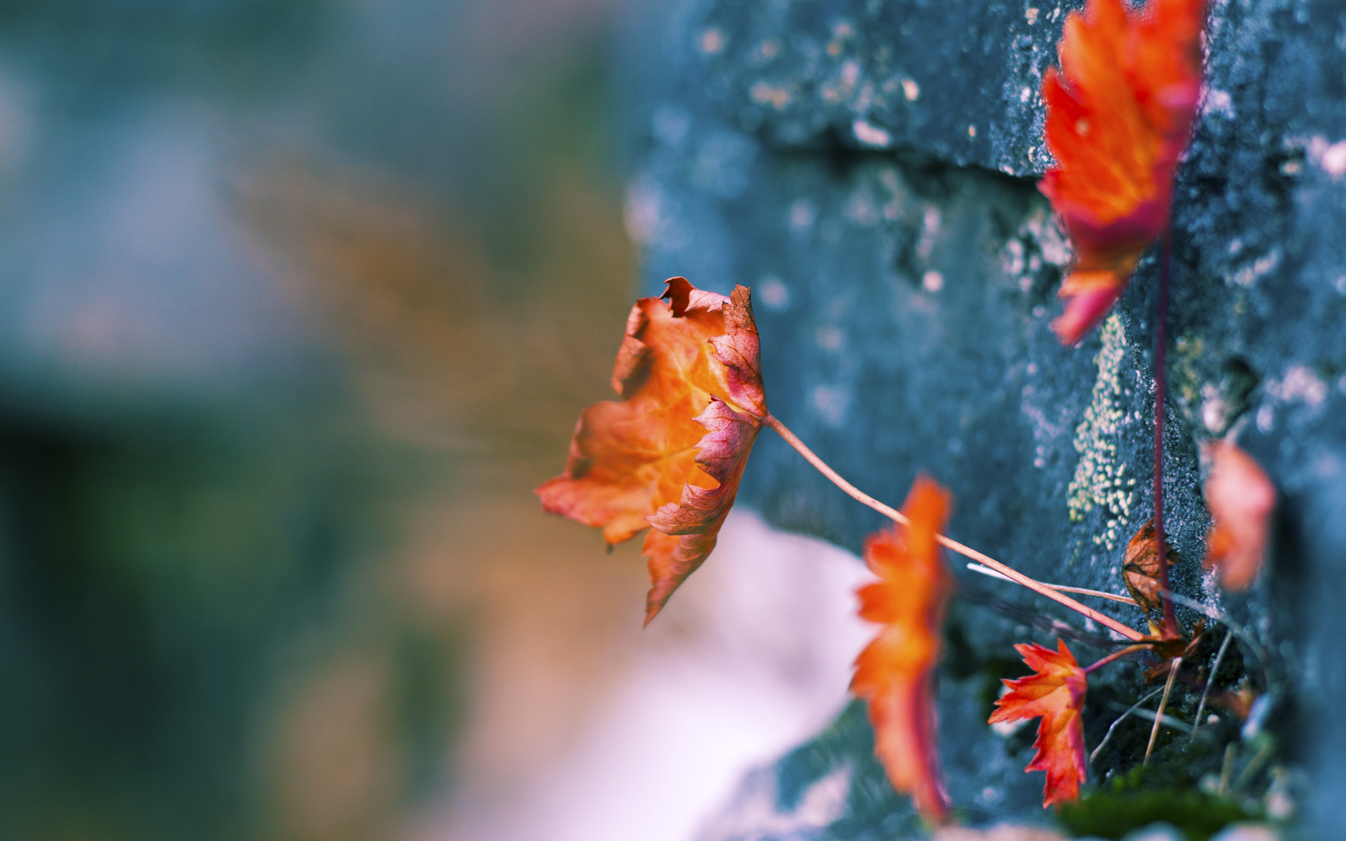 南境飓风席卷黄金城,铁蹄之下,伊萨克铸就唯一传奇