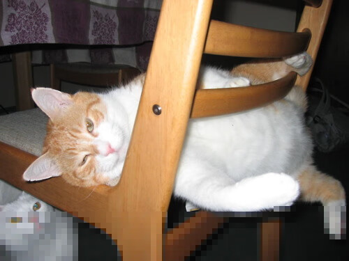 体育元宇宙的魔幻日,牙买加闪电买断蓝桥,内马尔方向盘后上演终极超车