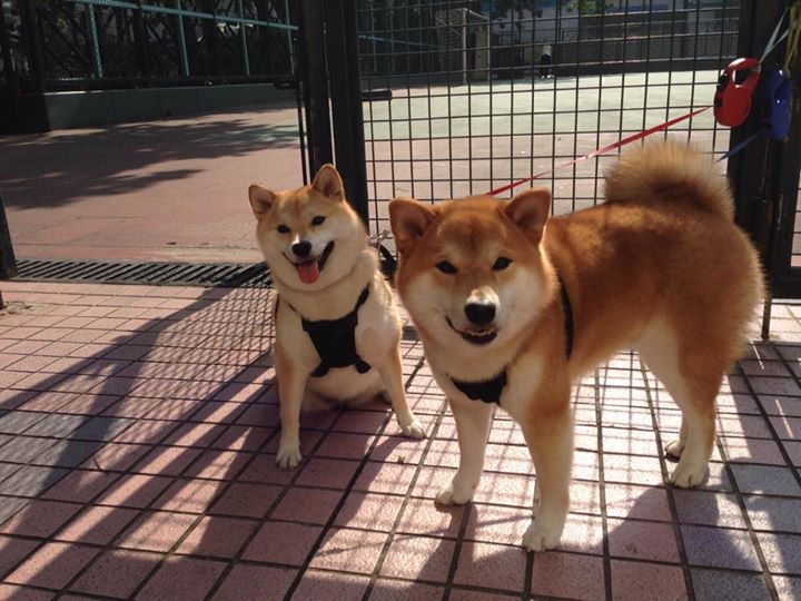 百川归海,小贾伦生涯之夜汇入太阳制霸之海