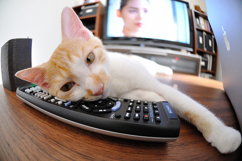 客队领袖的逆袭,西亚卡姆用里程碑战刃旧主,猛龙魂在迈阿密重生?