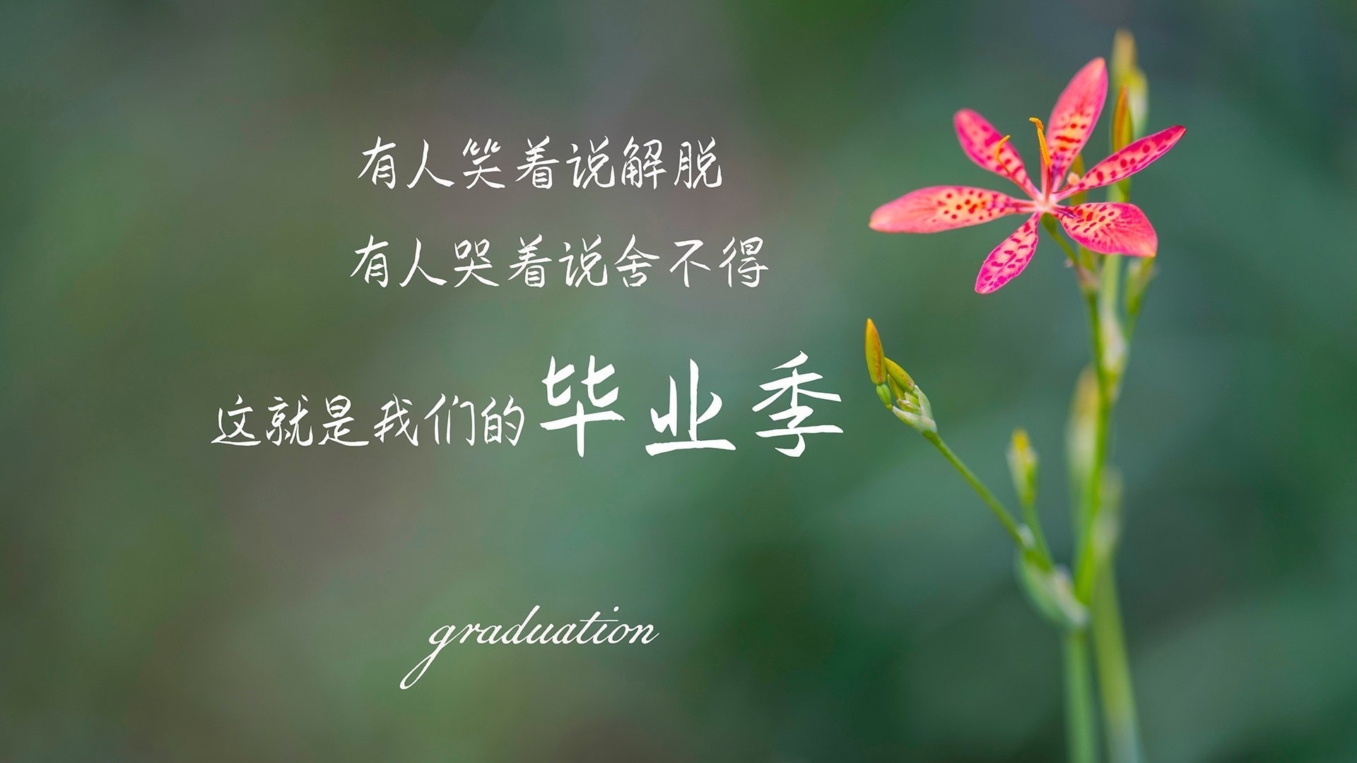 蓝白风暴中的红色闪电