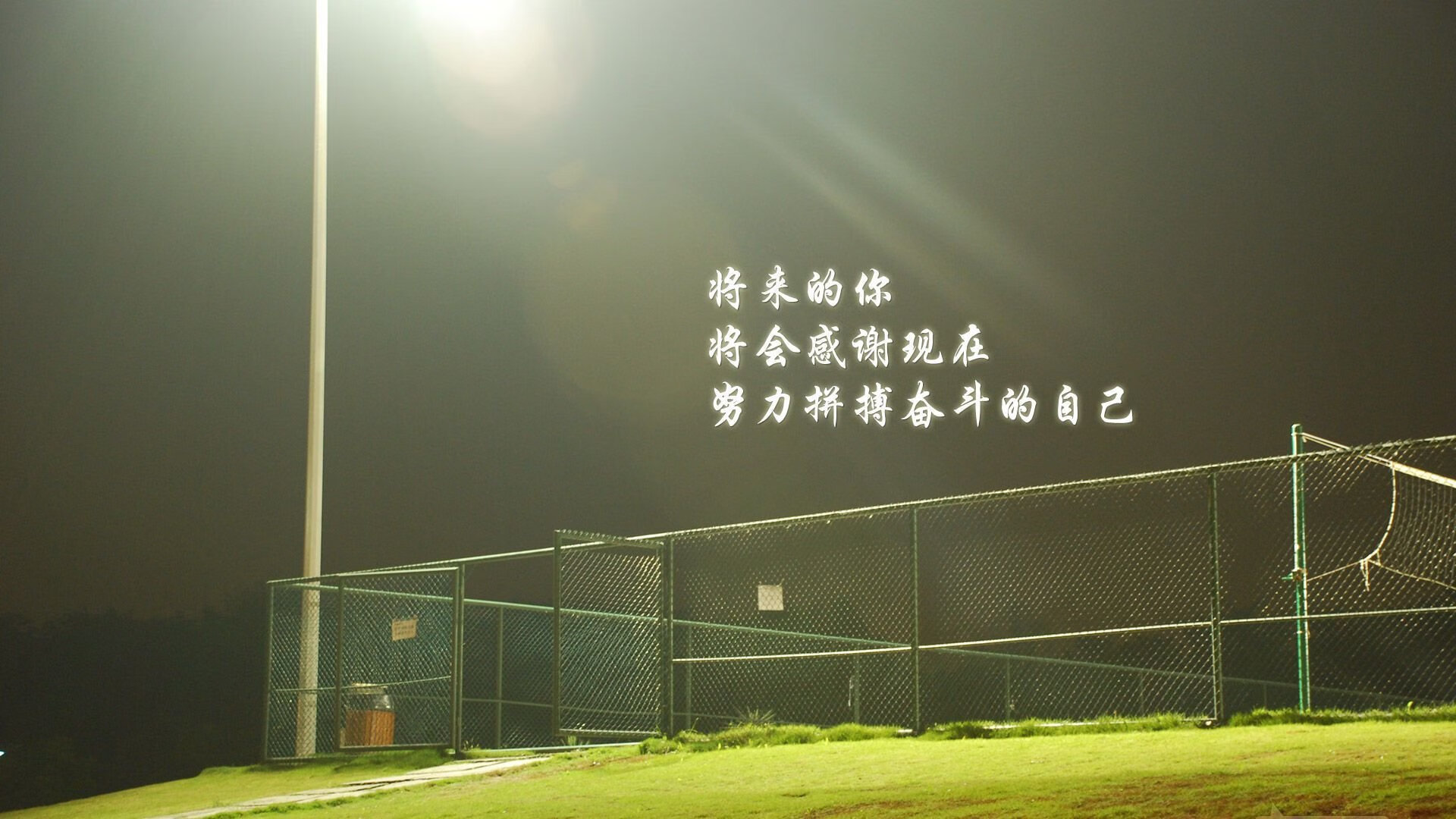 孤峰独峙,2026世界杯B组关键战,伊朗碾压芬兰,B费独擎葡萄牙突围