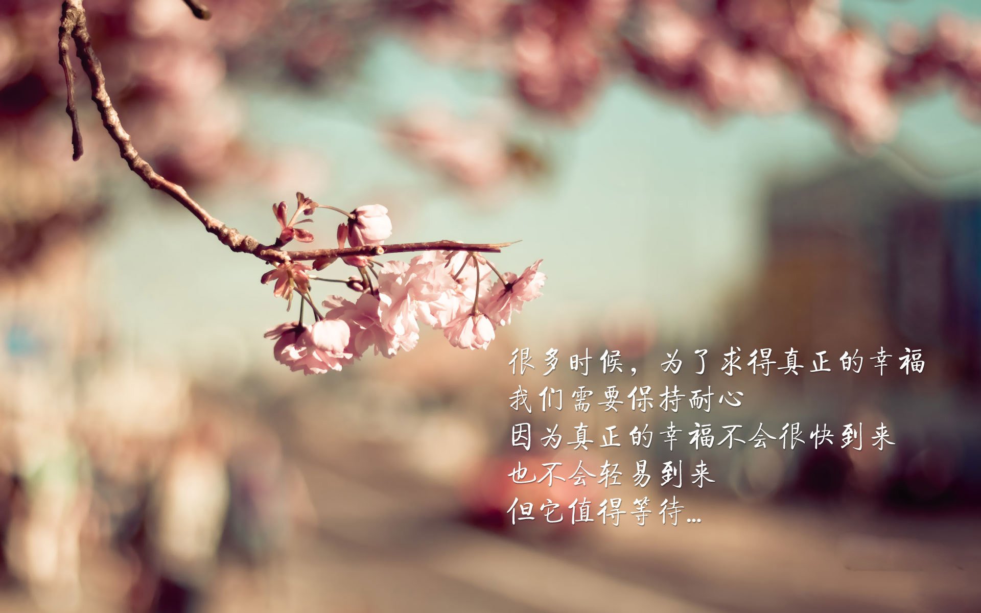 致命一击，当哈兰德在2026世界杯D组悬崖边，为挪威刺破伊拉克的铁幕
