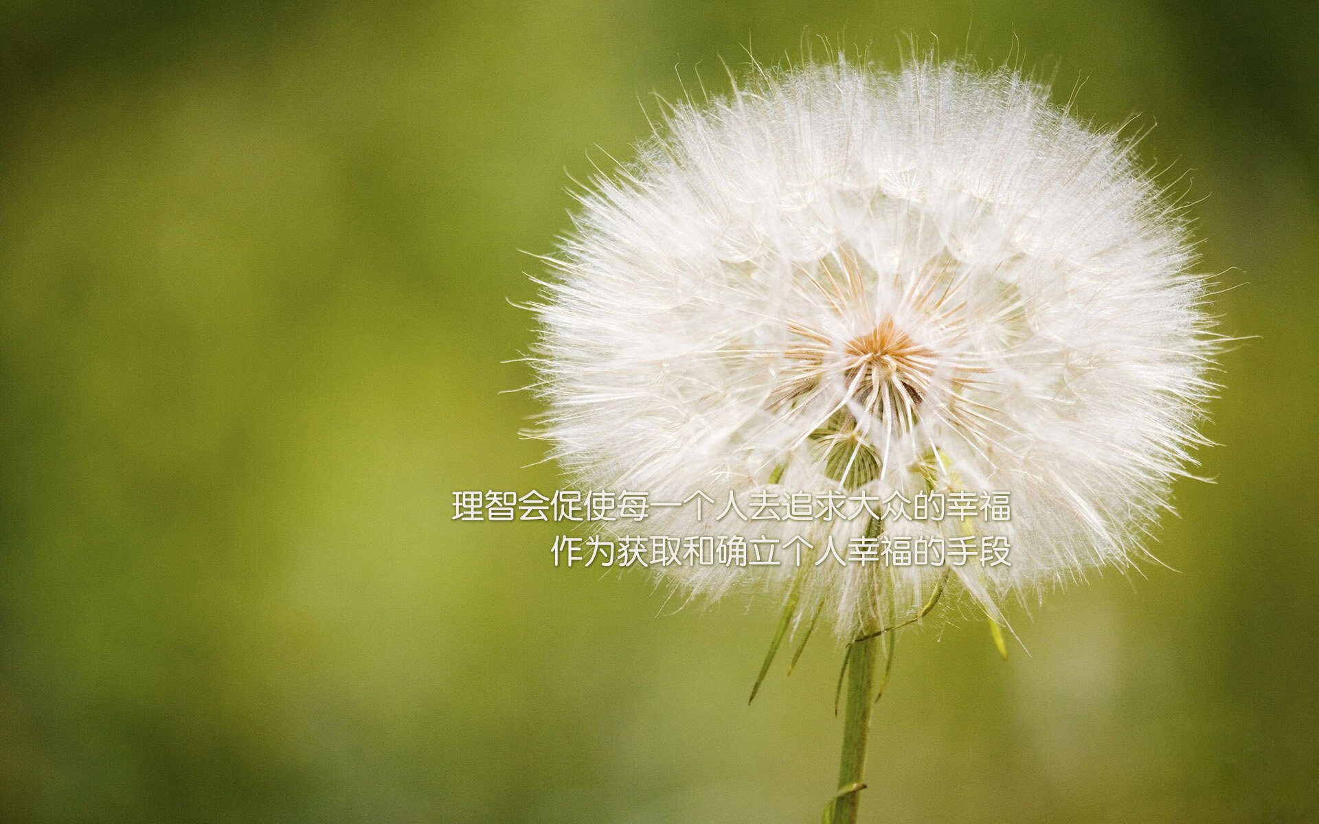 沙漠风暴与蓝色狂想,2026世界杯H组,印度足球的史诗级崛起与库尔图瓦的孤星悲歌