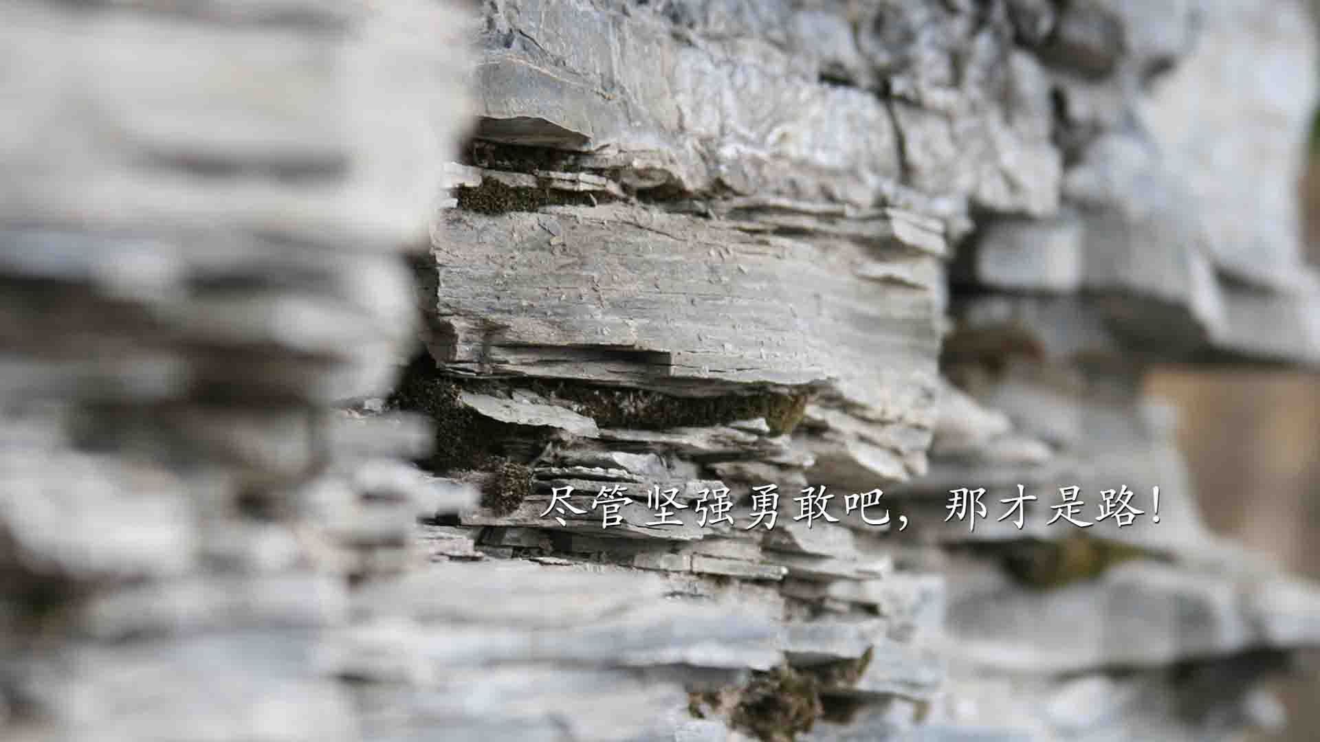 沙漠风暴，当三狮军团用钢铁洪流碾碎命运，费利克斯在废墟上点亮孤星